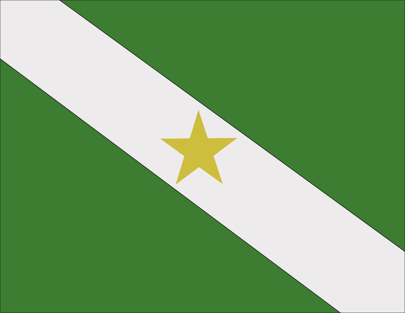 Bandeira Large Canutama grand drapeau brésilien Amazonas tissu résistant