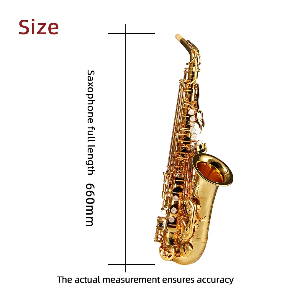 Rollins Saxophone alto RSA-X10,E flat Selmer 54-Key,Matière laiton, Or