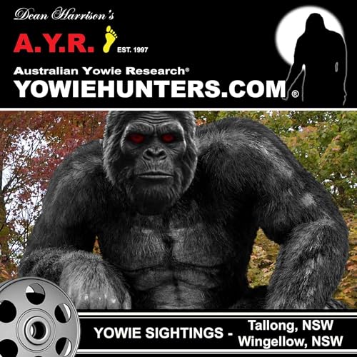 Yowie Sightings at Tallong and Wingellow - New South Wales 1990 & 2012