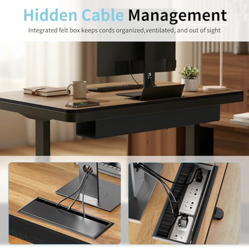 Image of Electric Standing Desk with Drawer and Wireless Charging, 48 Inch Sit Stand Desk with USB Charging Station, Hidden Cable Management Tray, Height Adjustable Computer Desk for Home Office, Walnut
