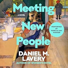 Meeting New People Audiobook By Daniel M. Lavery cover art