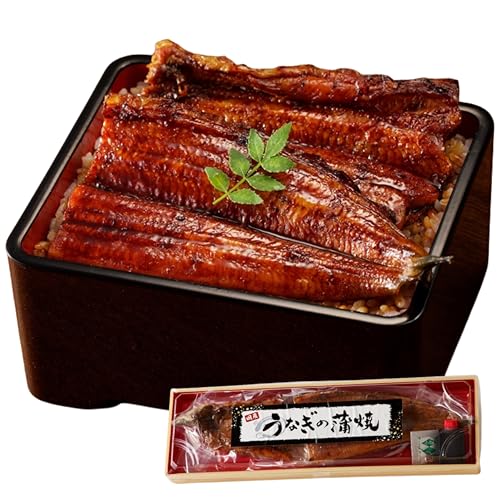 京都 国産うなぎの蒲焼き2~3人前(1尾)