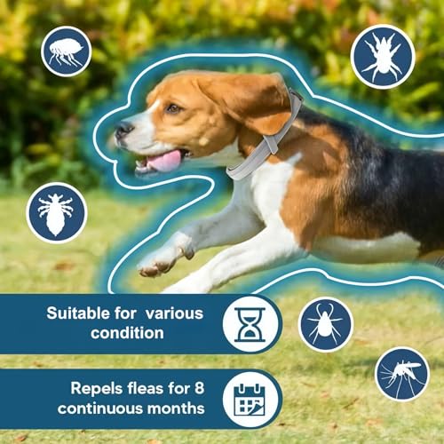 3PCS Dog Collar,Calming Collar for Dogs,Dog Collars Set,Waterproof Adjustable for Puppy,24 Month Protection,Natural Essential Oils,Grey - Image 5