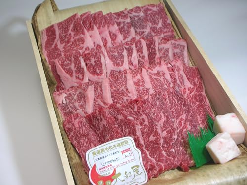 a Mtg ɐHY `S OdY јa߂ ij Jr ē 1000g 1kg H Ε  j
