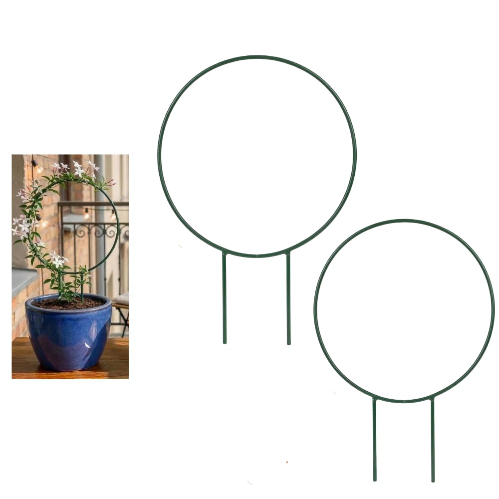 Round Plant Support Stick for Pots & Garden, Plant Stalk for Climbing Plants, Indoor Outdoor Plant Support Rod for Money Plant, Creepers & Stem Support (Durable & Reusable)-image-48