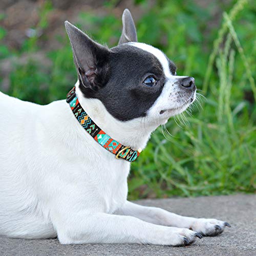 Collardirect Nylon Dog Collar With Metal Buckle Tribal Pattern Puppy Adjustable Collars For Small Dogs (Tribal, Neck Fit 7"-11") #TOP3