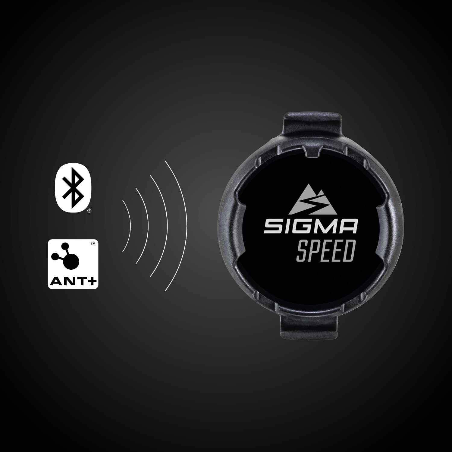 Sigma Sport Duo bezstykowy czujnik prędkości