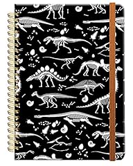 Skeletons of Dinosaurs Fossils