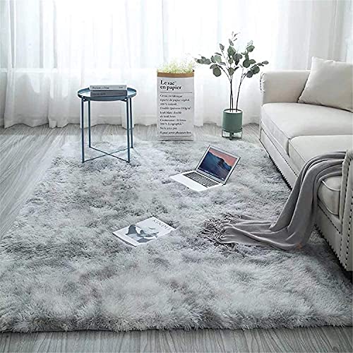 HI-Homes Silver Mint 4X6 Feet Shaded Silk Touch Shaggy Carpet for ...