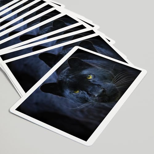 Lantern Press Black Panther, 52 cartas Poker miniatura 5
