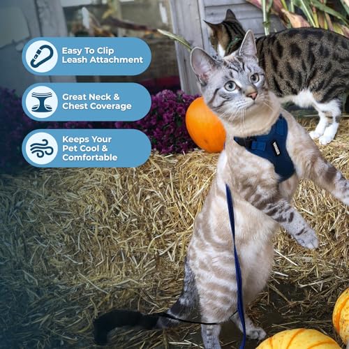Image of Voyager Escape-Proof Step-in Lock Cat Harness & 5ft Neoprene-Handle Leash Set All-Weather Mesh with Reflective Stitching for Small to Large Cats by Best Pet Supplies, Royal Blue, XXS