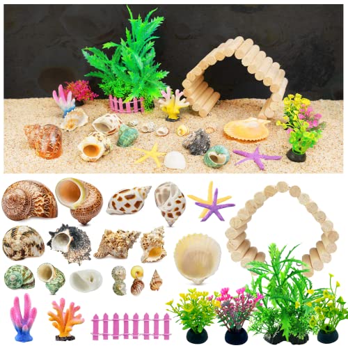 Hermit Crab Shell Large, Medium and Small Natural Growth Turbine Shell Hideout and Artificial Plants Used for Hermit…