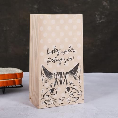 HOREA 50 L p ̃Mtg܃LfBNbL[Ntg܃Mtg̃z[p[eB[ãMtg (24*12.5*7.5cm, )