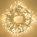 LOUIS CHOICE LED String Lights, Plug in String Lights, 69 Ft 200 LED Warm White Lights String with Timer, Waterproof, Perfect for Indoor and Outdoor Use with 30V Low Voltage Transformer