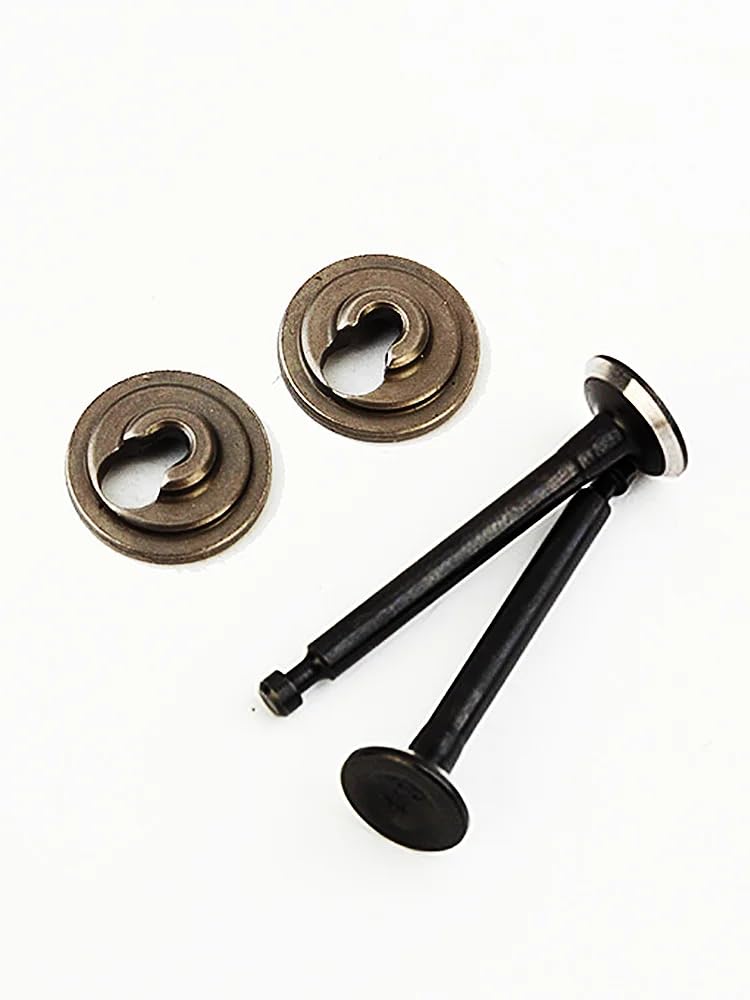 Generico Set di Molle for valvole di aspirazione, Scarico e aspirazione compatibili con Motore a 4 Tempi Honda GX31 139F, decespugliatore e tagliabordi