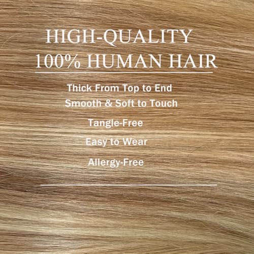 Image of Belaved 8B60A Highlight Lace Front Wigs Human Hair 13x6 Medium Brown Mix Blonde Long Straight Balayage Blonde with Brown Roots 180% Density for Women Pre Plucked With Baby Hair 16 Inch