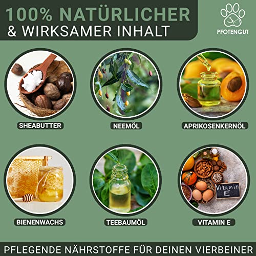 PFOTENGUT® Pfotenbalsam 100ml [Made in Germany] - Pfotenpflege für Hunde gegen trockene und Wunde Pfoten - Hochwertiger Pfotenschutz für Hunde mit Bienenwachs, Sheabutter & Aprikosenkernöl