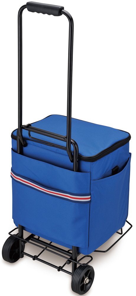 Amazon｜サーモス ソフトクーラー 20L ブルー REF-020 BL｜ランチ