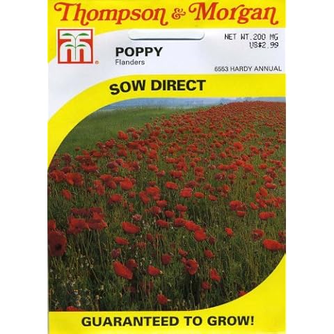 Poppy 'Flanders' Cover