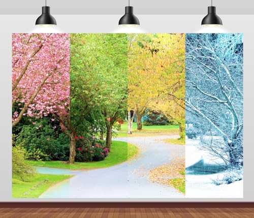 Toile de fond quatre saisons paysage naturel même endroit 2,1m