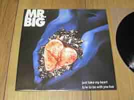 MR.BIG/ジャスト・テイク・マイ・ハート Mr. Big - Just Take My Heart (MV) - YouTube