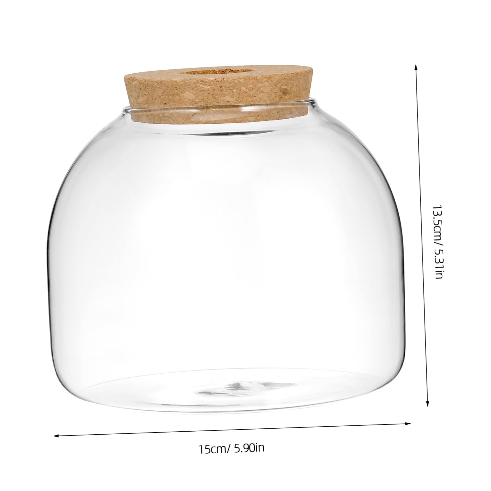 DOITOOL Glas Terrarium Pflanzgefäß für Sukkulenten und Moos Rundes Hydroponisches Kleiner Terrarium mit Korkverschluss Dekoratives Glasgefäß für Zimmerpflanzen und Selbstgemacht