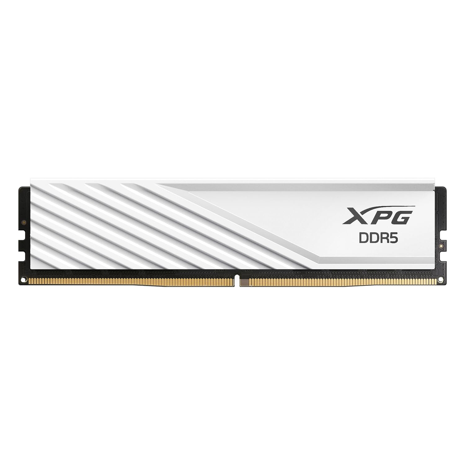 Amazon.in: Buy ADATA DDR5 32GB XPG 5600 MHz Lancer Blade White