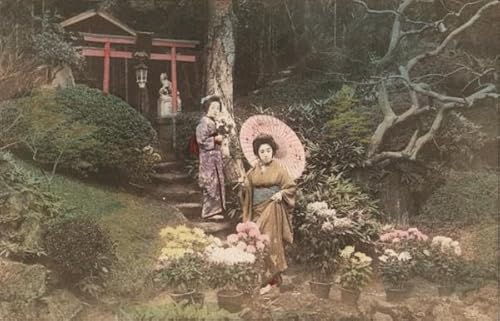 Japanese Women, Parasol, Geishas Japan Original Antique Postcard
