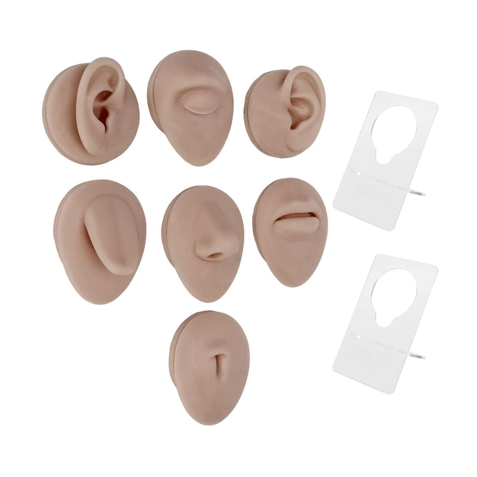 Kokiya Model Body Part Displays Set Flexible Simulation Set,3D,Soft,Body Piercing Practice Model for Teaching Tool Piercing Practice, dark skin
