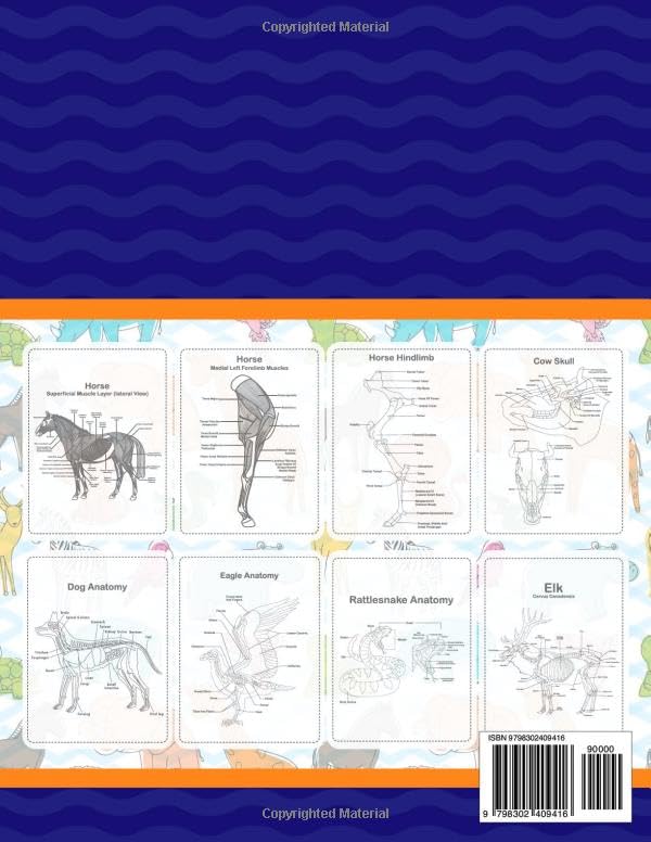 Veterinary Anatomy Coloring Book: It Provides Detailed Information On The Bones And Muscles Anatomy Of Dog, Cat and Horse. It Also Provides The Anatomy Of Many Other Animals. - Image 2