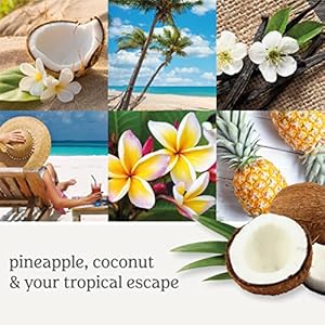 Yankee Candle Coconut Beach Scented, Classic 22oz Large Jar Single Wick Candle, Over 110 Hours of Burn Time, Ideal for Gift-Giving, Special Occasions Yankee Candle Coconut Beach Scented Classic 22oz Large Jar Single Wick Candle Over 110 Hours of Burn Time Ideal for Gift Giving Special Occasions