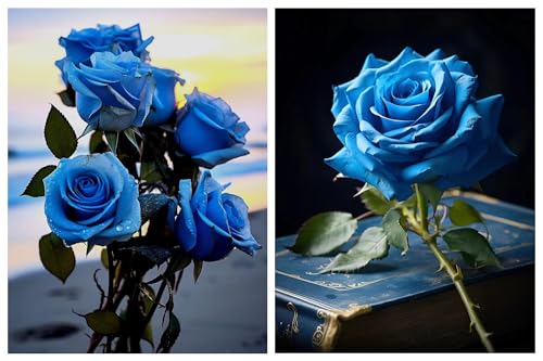 800+ Mix Blue Rose Seeds for Planting Outdoors Perennial Shrub Heirloom 90% Germination Rate Rosa Seeds Open Pollinated (Family Rosaceae) - Thumbnail 2