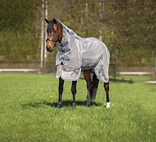 Couvre-cou Rambo Protector pour protéger les chevaux sensibles au paddock