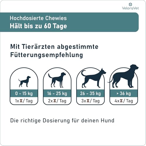 VeloraVet Grünlippmuschel Gelenktabletten Hund – HOCHDOSIERT mit Grünlippmuschelpulver, MSM, Teufelskralle, Glucosamin & Kollagen – Keine Kapseln, hohe Akzeptanz – Gelenk- & Knochenschutz – 60 Stück