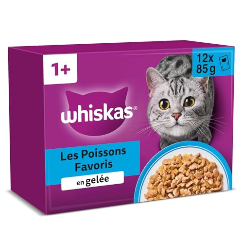 WHISKAS Aliment humide en gelée Chat adulte 12x85g Les Poissons Favoris (Lot de 4) 48 Sachets