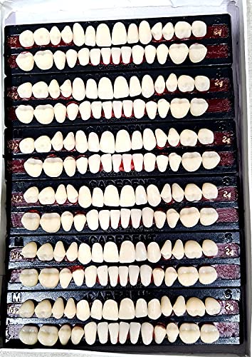 Image of Dental Acrylic Teeth Kit Shade Of Teeth 23,