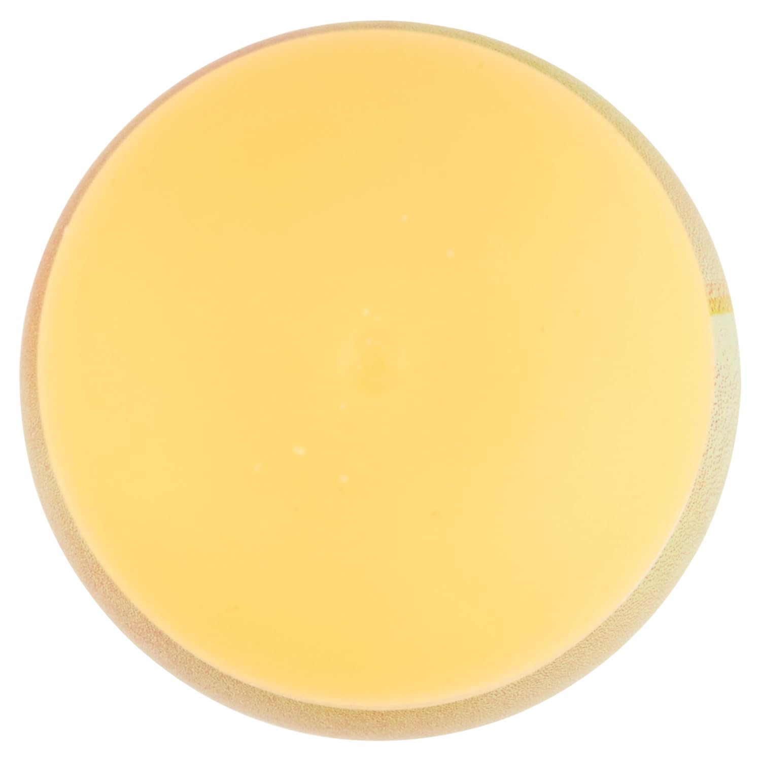 12x MALIZIA Deodorante Donna Vanilla Seduction Parfum,Deodorant Deo Spray für Damen 100ml + Beni Culinari Kostenloser Schlüsselanhänger