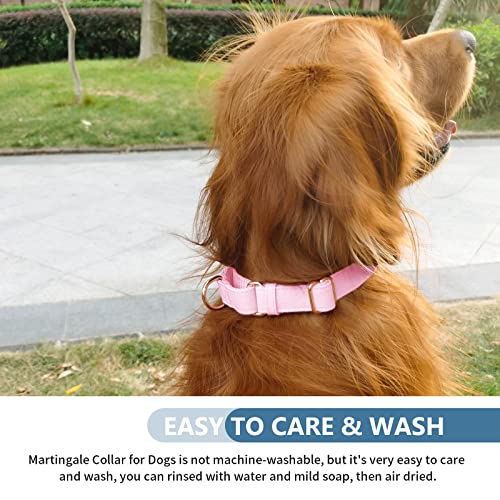 Collare per cani Martingala in morbida pelle