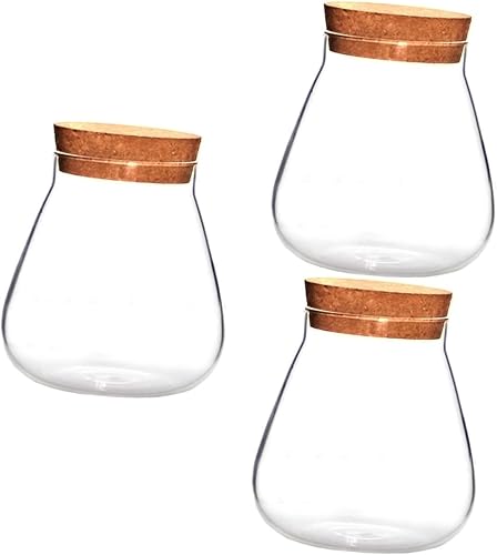 Garneck Botella de vidrio de corcho, recipiente de caramelo de musgo artificial, soporte para pecera, recipiente de café, tarros pequeños de masón,