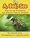 A, Bee, See: Who are our Pollinators and Why are They in Trouble?
