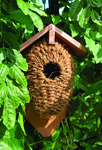 Garlivo Coconut Nest Box, brown, L 10,2 x B 15,2 x H 26,2 - Image 3