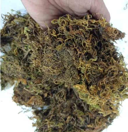 CAPPL Organic and Natural Dry Sphagnum Moss for Potting Mix, Seed Starting and Improving Native Soil, Organic Gardening (1500 gm)