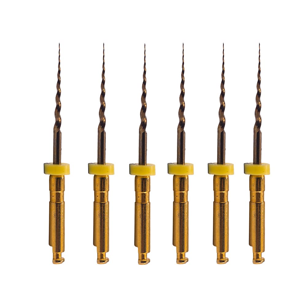 X-Pro Gold Protaper NITI Rotary Files, 6PCS Endo Controlled Memory Files (SX 19MM)