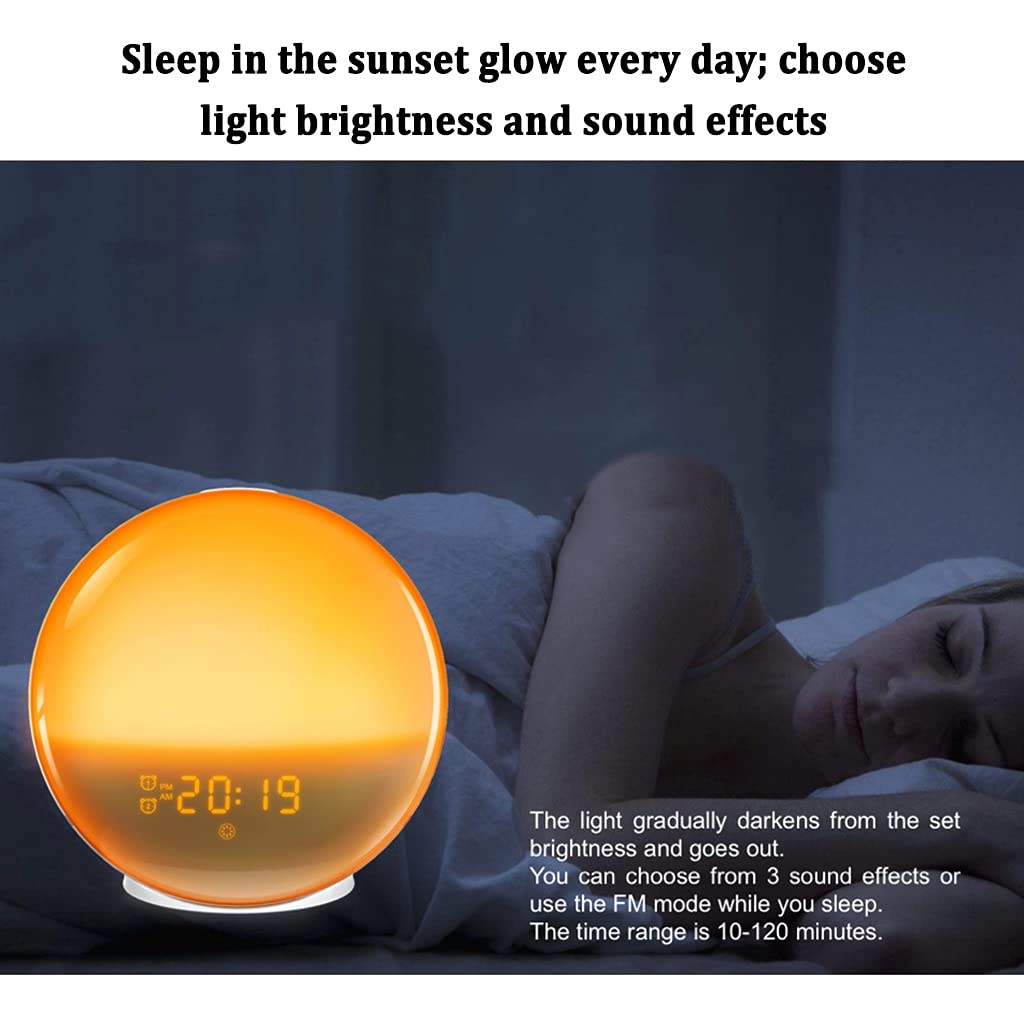 2 Pz Wake Up Light, Sveglia, con Simulazione Alba/Tramonto, Doppio Allarme e Funzione Snooze, 7 Suoni Naturali e Radio FM, Ideale per Regalo