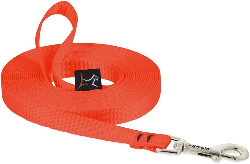 LupinePet Basics 1/2" Blaze Orange 30-Foot Extra-Long Training Leash for Small Dogs