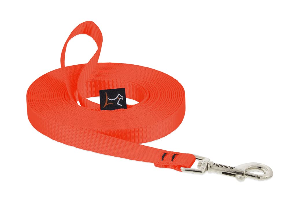 Lupine Basics 1/2" Blaze Orange 15-Foot Extra-Long Training Leash for Small Dogs