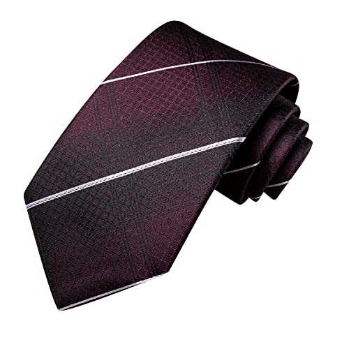 Image of Hi-Tie Mens Paisley Floral Striped Ties Set Silk Necktie and Lapel Pin for Men Pocket Square Cufflinks Set Business Wedding