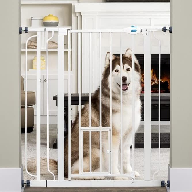 Carlson Extra Tall Walk Through Pet Gate with Small Pet Door, Includes 4-Inch Extension Kit, 4 Pack Pressure Mount Kit and 4 Pack Wall Mount Kit