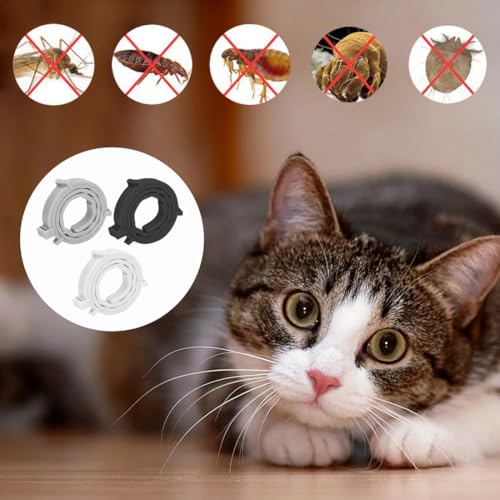 ZORTVUL 3 Stück Flohhalsband für Katzen,Flohhalsband Hunde Klein,Zecken Flohschutz Halsband,Zeckenhalsband für Katzen,Zecken Flohband Katze,Floh Zeckenhalsband für Hunde und Katzen