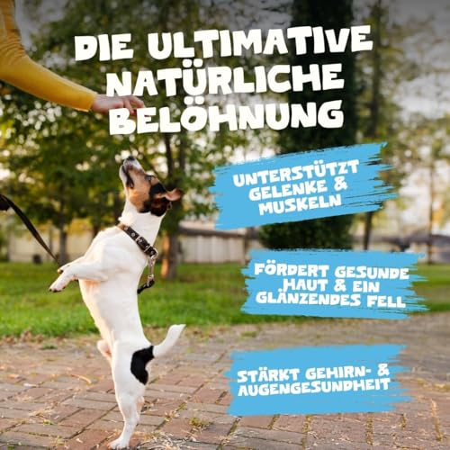 Pets Purest Sprotten Hundesnack & Katzensnack 100g - Natürlicher, luftgetrockneter Fischsnack für ausgewachsene/ältere Hunde, Welpen, Katzen - Getreide-, Gluten- & laktosefreie